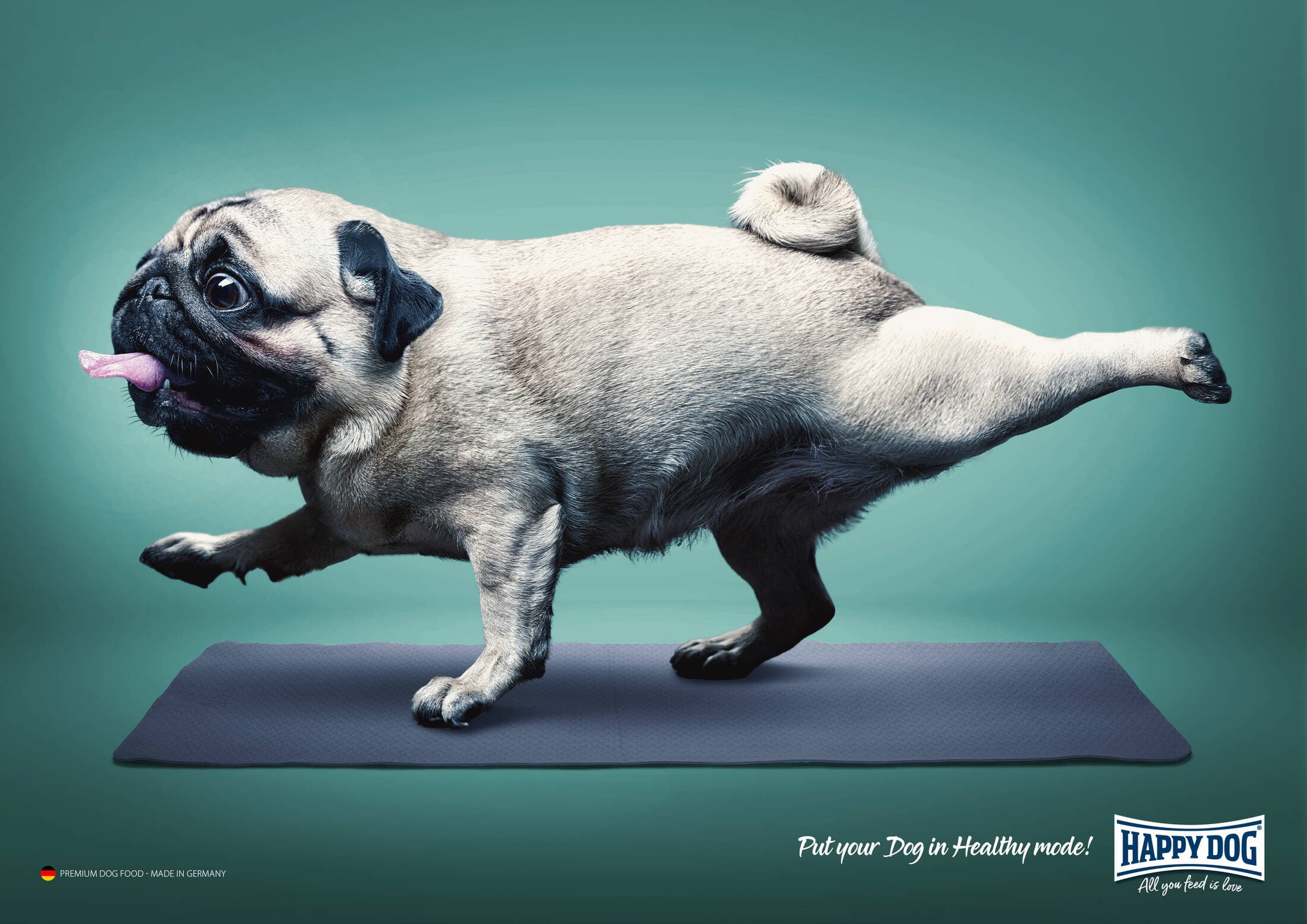 Pet Care Creative
